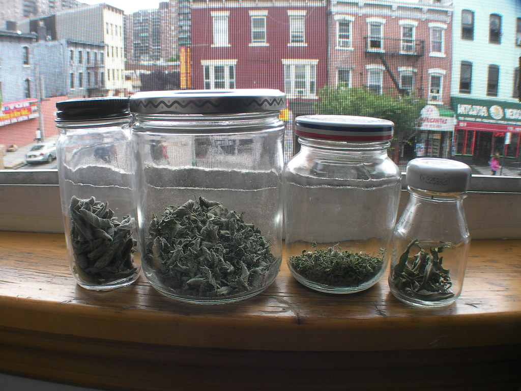 Glass jars of dried herbs on a windowsill overlooking a city street